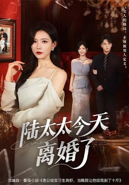 陆太太今天离婚了 第32集
