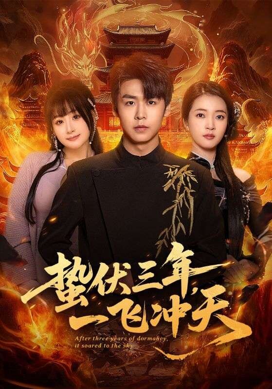 蛰伏三年，一飞冲天(全集)